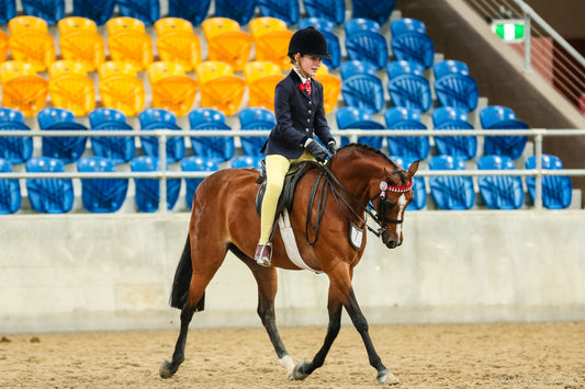 Are you a Seasoned Competitor?
