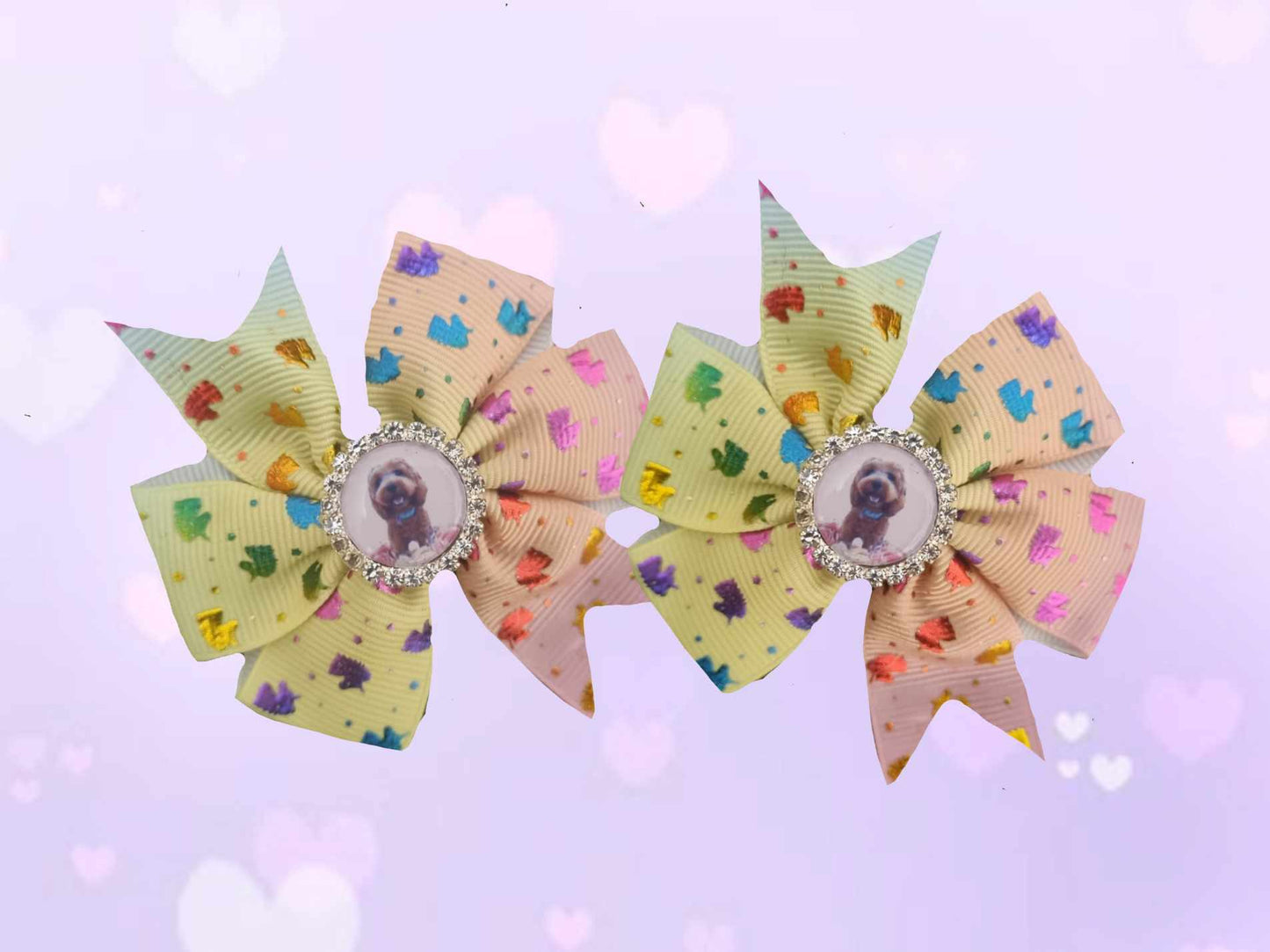 CUSTOM BOW PAIR