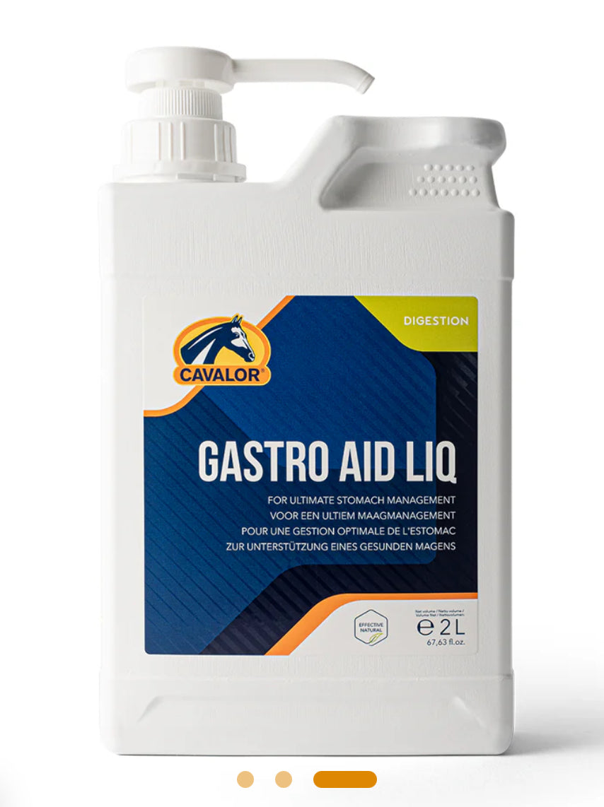 GASTRO AID LIQ