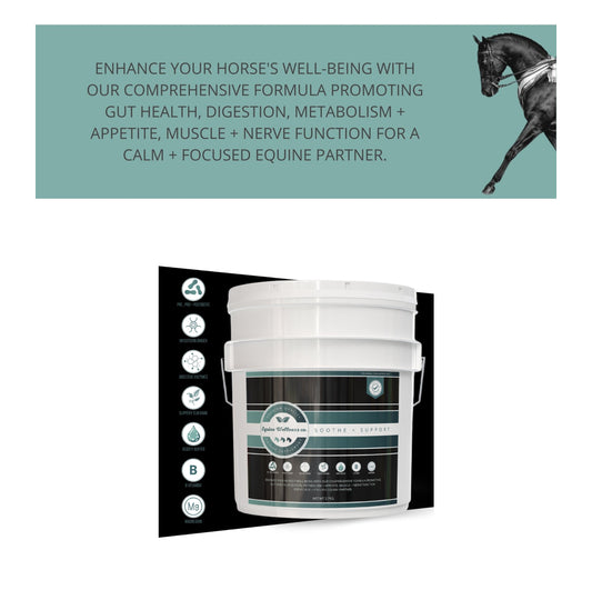 Soothe and Support